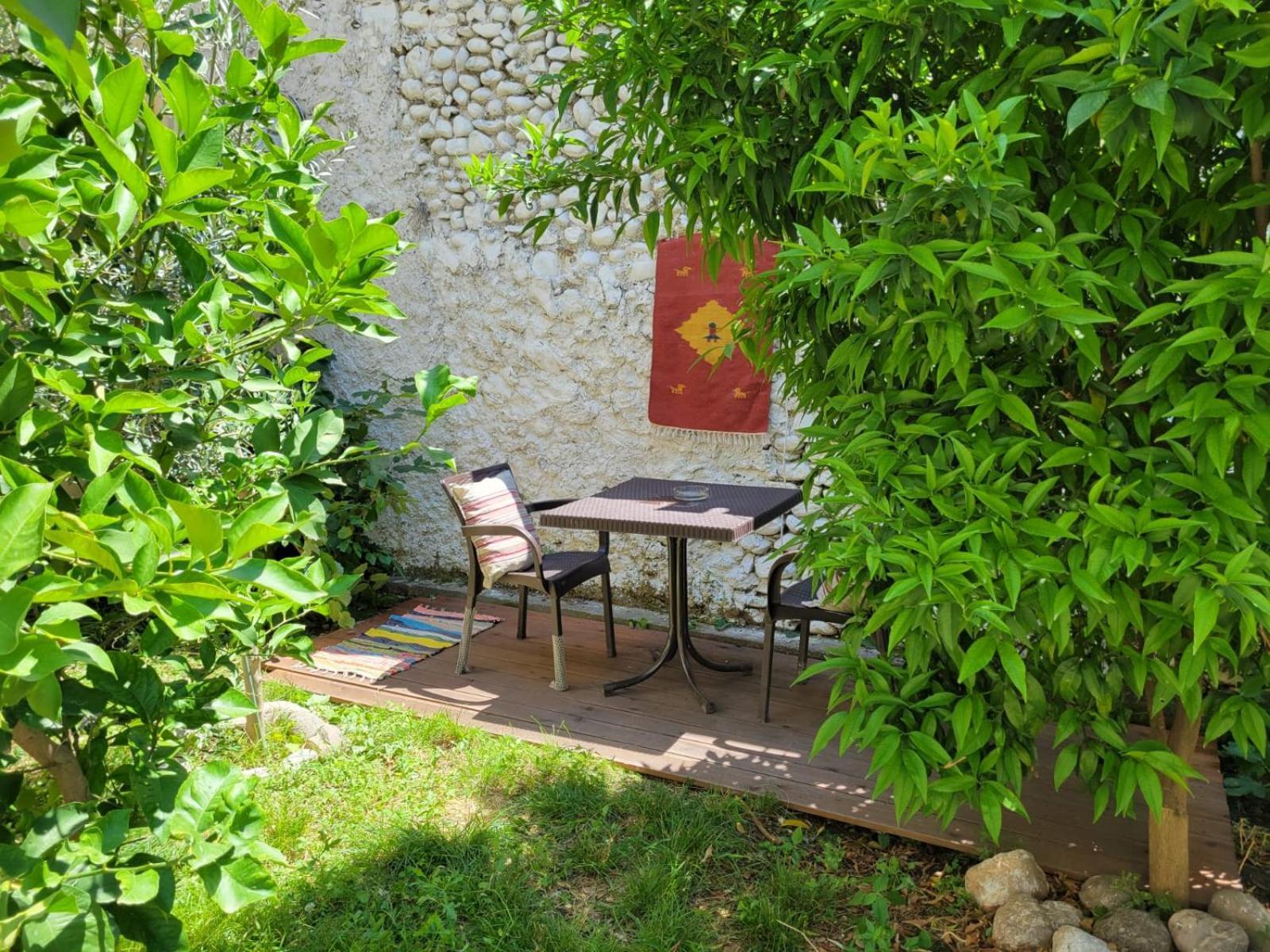 Vila Koltrina Shkodër Extérieur photo