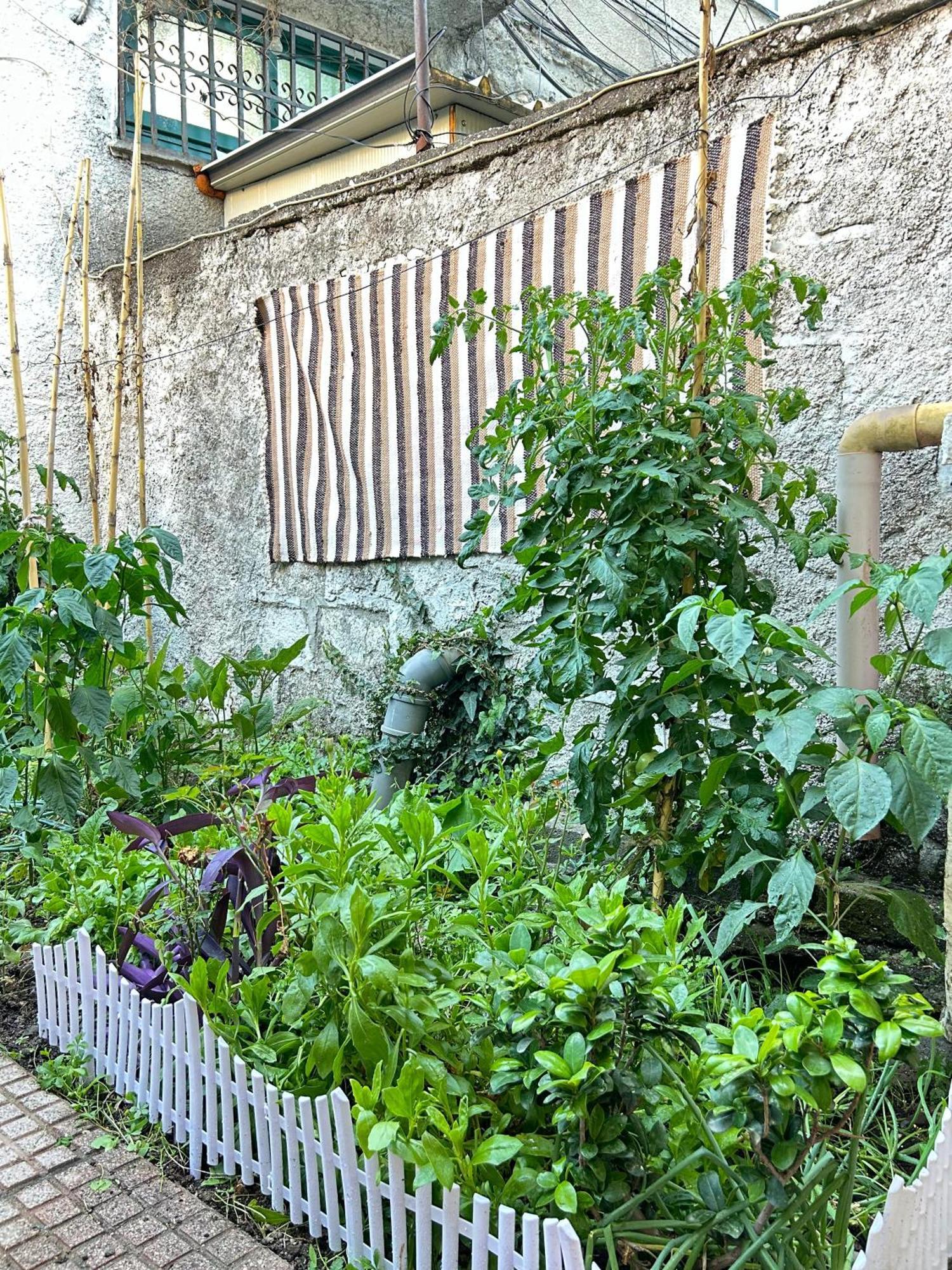 Vila Koltrina Shkodër Extérieur photo